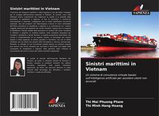 Copertina di Sinistri marittimi in Vietnam