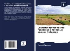 Bookcover of Системы производства говядины в песчаных холмах Небраски