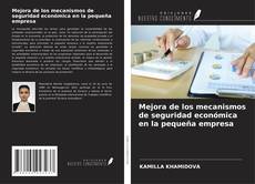 Capa do livro de Mejora de los mecanismos de seguridad económica en la pequeña empresa 
