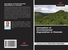 Bookcover of perception of environmental degradation in Owando
