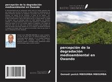 Buchcover von percepción de la degradación medioambiental en Owando