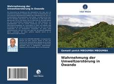 Buchcover von Wahrnehmung der Umweltzerstörung in Owando