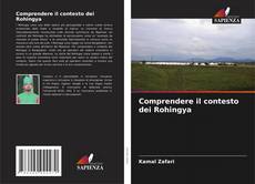 Bookcover of Comprendere il contesto dei Rohingya