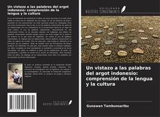 Copertina di Un vistazo a las palabras del argot indonesio: comprensión de la lengua y la cultura
