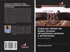 Campi per sfollati del Sudan, accesso all'assistenza sanitaria e all'istruzione kitap kapağı