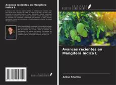 Bookcover of Avances recientes en Mangifera Indica L