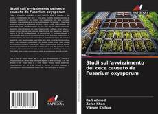 Buchcover von Studi sull'avvizzimento del cece causato da Fusarium oxysporum