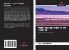 Water management in the Maghreb kitap kapağı