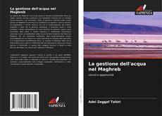 Buchcover von La gestione dell'acqua nel Maghreb