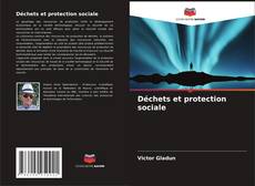 Bookcover of Déchets et protection sociale