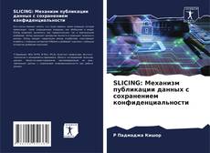 Обложка SLICING: Механизм публикации данных с сохранением конфиденциальности