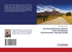 Copertina di Surviving Business Shocks from Zimbabwe Environment: Startup Guide