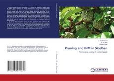 Copertina di Pruning and INM in Sindhan