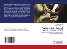 Copertina di Assessing the effects of women empowerment