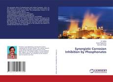Copertina di Synergistic Corrosion Inhibition by Phosphonates