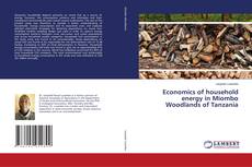 Copertina di Economics of household energy in Miombo Woodlands of Tanzania
