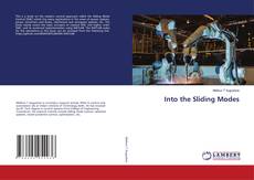 Copertina di Into the Sliding Modes