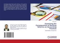 Copertina di Examining the Consequences of Banking Reforms on Accounting Practices