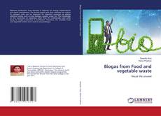 Copertina di Biogas from Food and vegetable waste