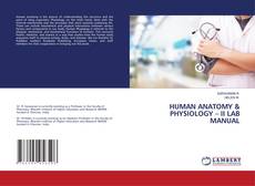 Copertina di HUMAN ANATOMY & PHYSIOLOGY – II LAB MANUAL