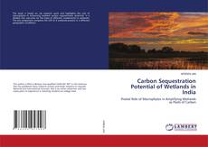 Copertina di Carbon Sequestration Potential of Wetlands in India