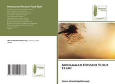 Mohammad Hossein Yusuf Elahi kitap kapağı