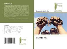 Buchcover von TERMINUS