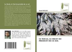 Buchcover von Le Socle, le fruit du produit de ce sol