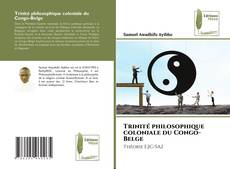 Trinité philosophique coloniale du Congo-Belge kitap kapağı
