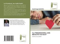 Buchcover von La Friendzone, une réalité fatale?