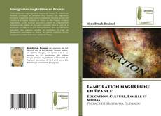 Immigration maghrébine en France: kitap kapağı