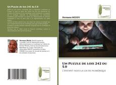 Обложка Un Puzzle de lois 242 du 5.0