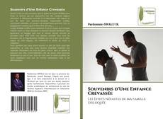 Bookcover of Souvenirs d'Une Enfance Crevassée