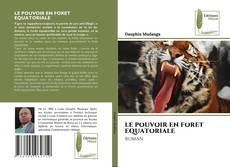 LE POUVOIR EN FORET EQUATORIALE kitap kapağı
