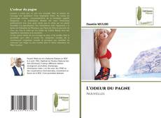 Capa do livro de L'odeur du pagne 