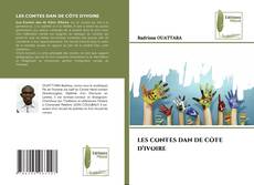 LES CONTES DAN DE CÔTE D’IVOIRE kitap kapağı