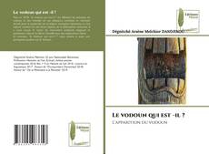 Bookcover of Le vodoun qui est -il ?