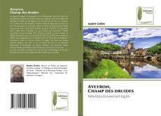 Aveyron, Champ des druides kitap kapağı