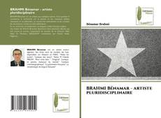 Buchcover von BRAHMI Bénamar - artiste pluridisciplinaire