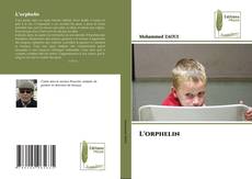 Buchcover von L'orphelin