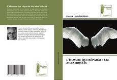 Bookcover of L'Homme qui réparait les ailes brisées