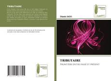 Bookcover of TRIBUTAIRE