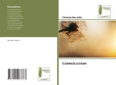 Bookcover of Consolation