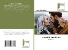 Bookcover of AMOUR SANS ÂME