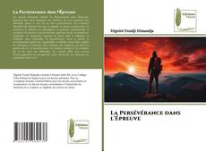 La Persévérance dans l'Épreuve kitap kapağı
