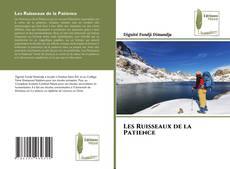 Buchcover von Les Ruisseaux de la Patience