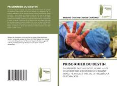 Buchcover von PRISONNIER DU DESTIN