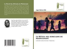 Le Réveil des Africains de Maintenant kitap kapağı