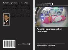 Copertina di Función suprarrenal en neonatos