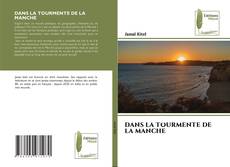 DANS LA TOURMENTE DE LA MANCHE kitap kapağı